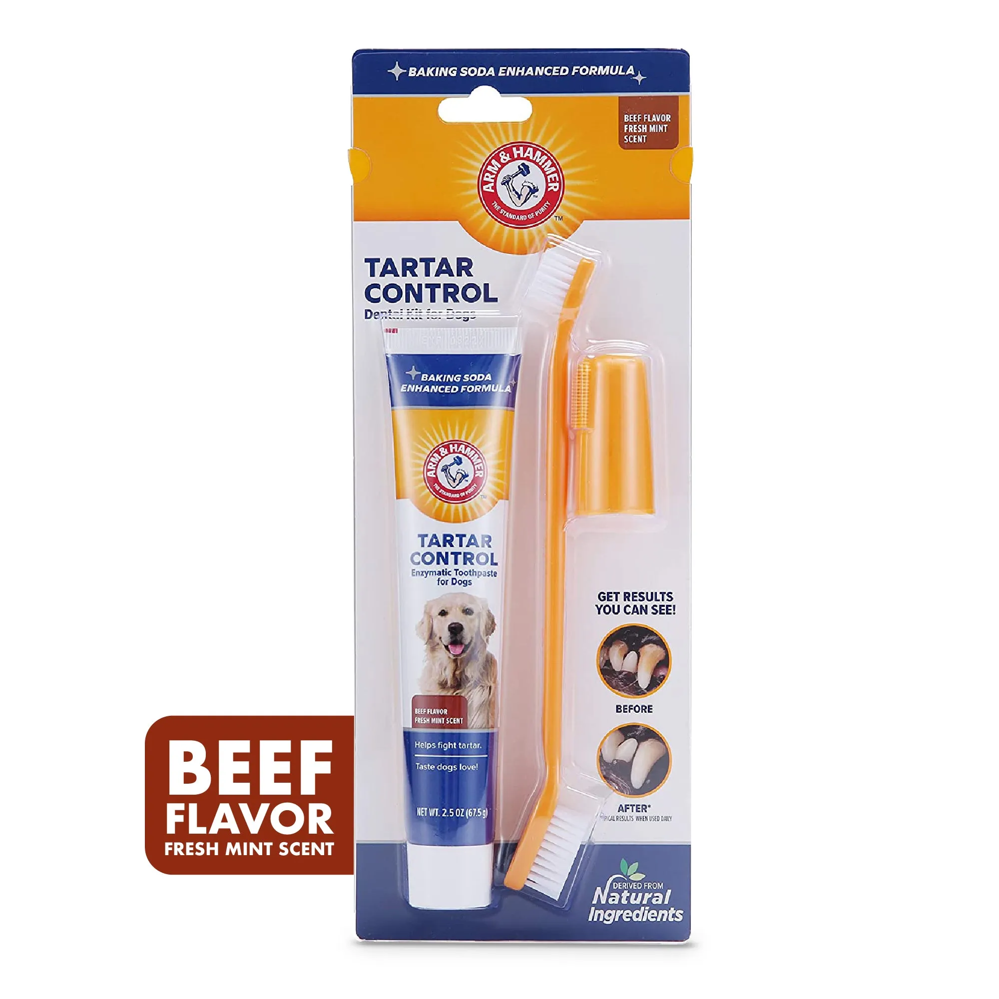 Arm and Hammer Tartar Control Dental Kit for Dogs Beef