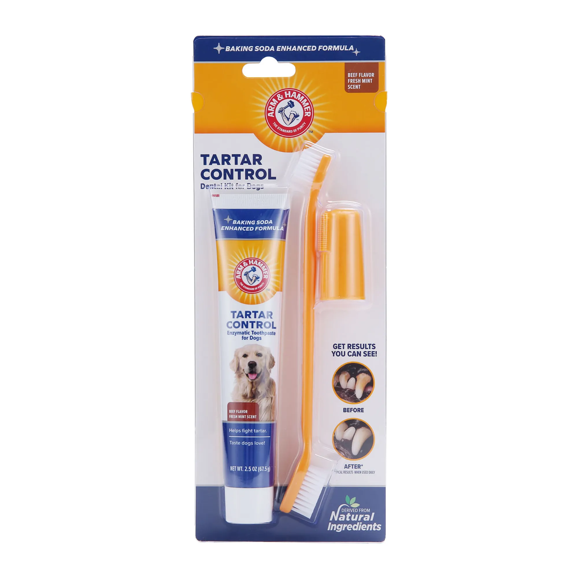 Arm and Hammer Tartar Control Dental Kit for Dogs Beef