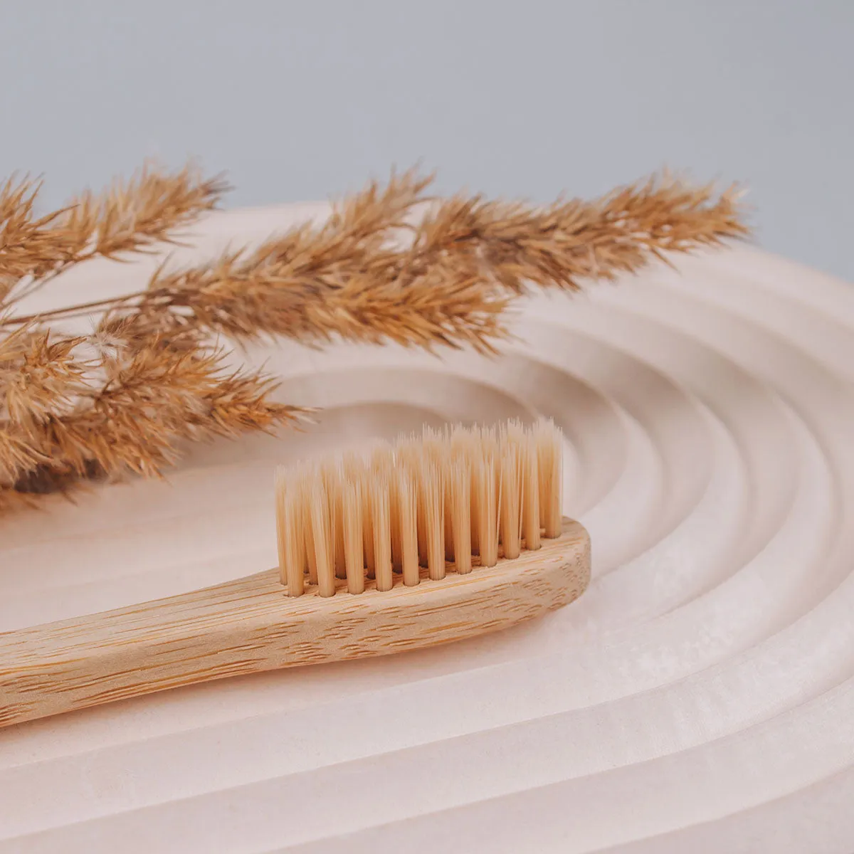 Bamboo Toothbrushes | Natural Toothbrush Set of 4