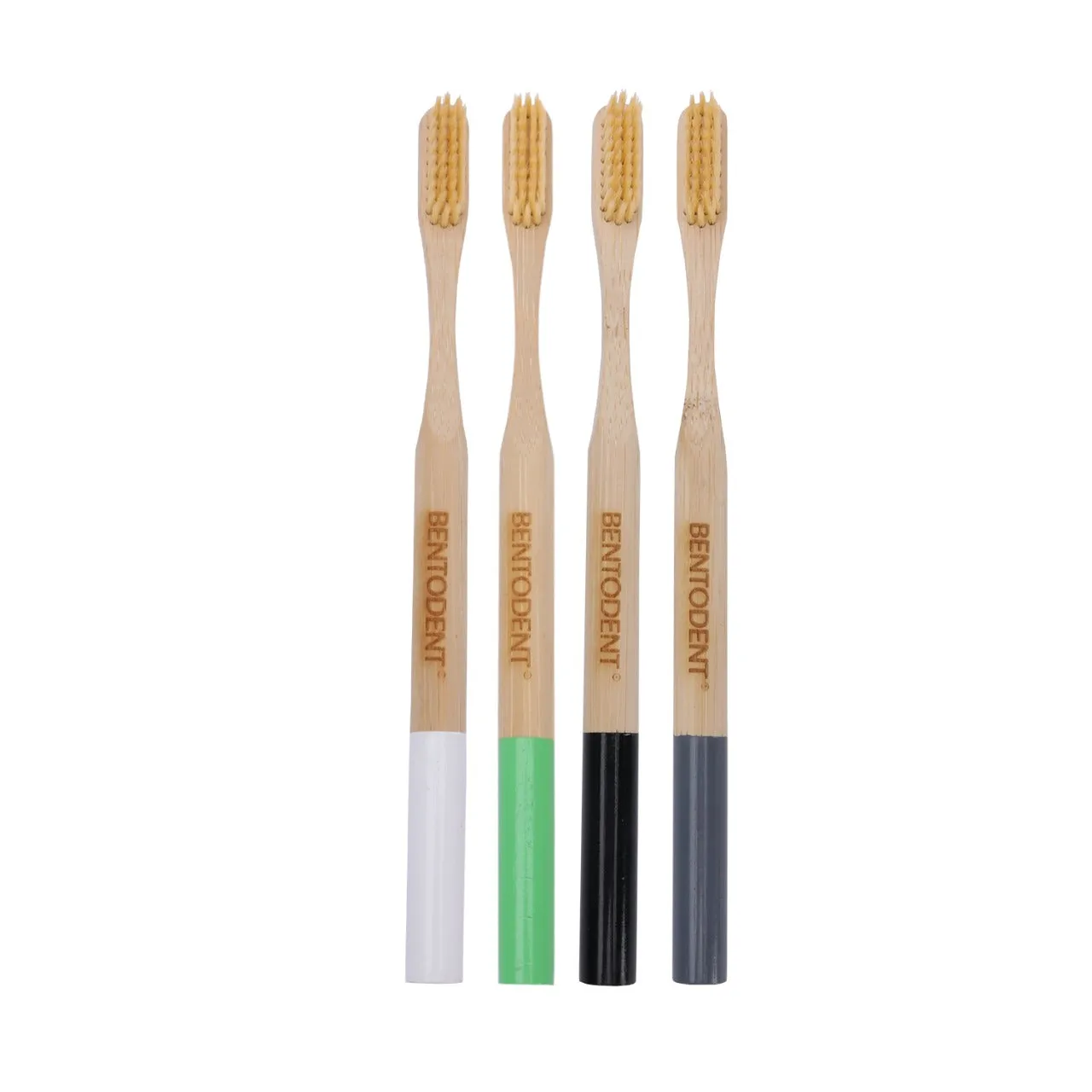 Bentodent Eco Brush Bamboo Toothbrush with Bamboo Fiber Bristles Round Bottom Teeth Whitening Ultra Soft (Pack of 4)