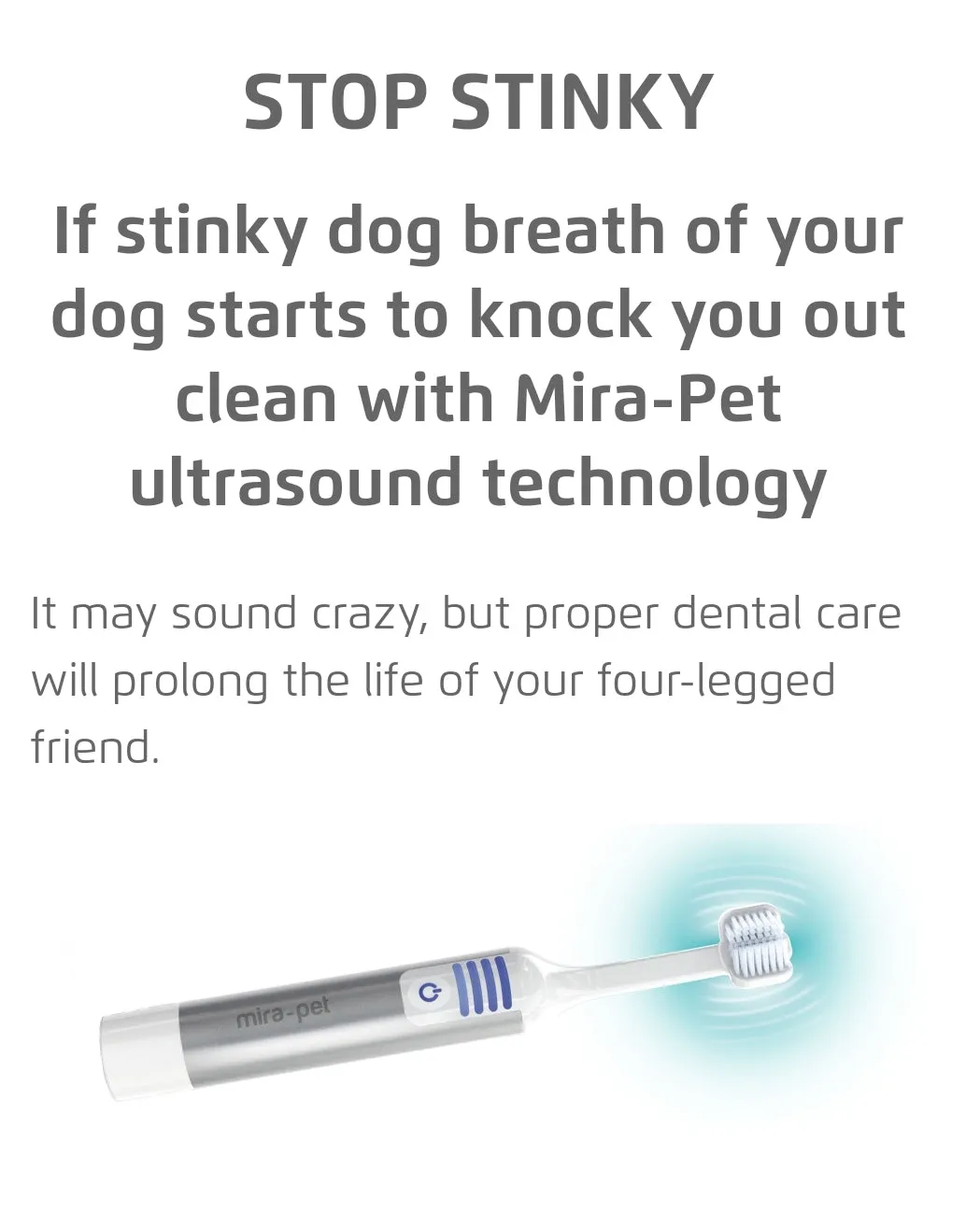 Mira Pet Ultrasound Starter Kit