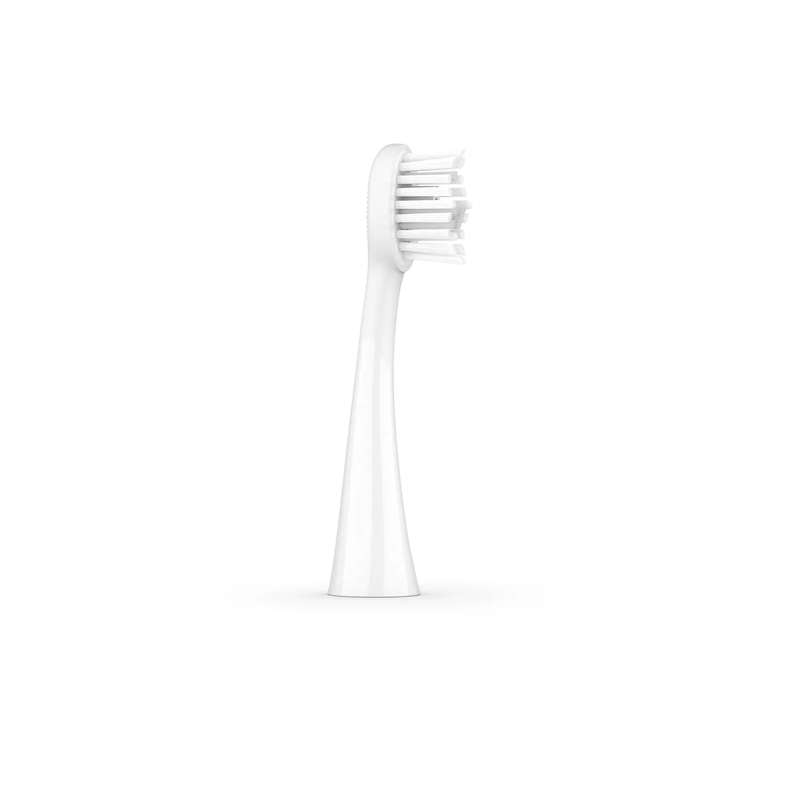 Ordo Sonic Brush Head White | Snow 4x